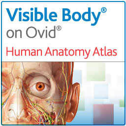 Human Anatomy Atlas